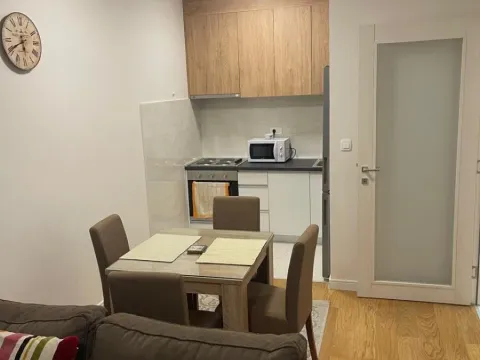 Izdavanje, jednosoban stan, 47m², Central Point, Podgorica - image 2