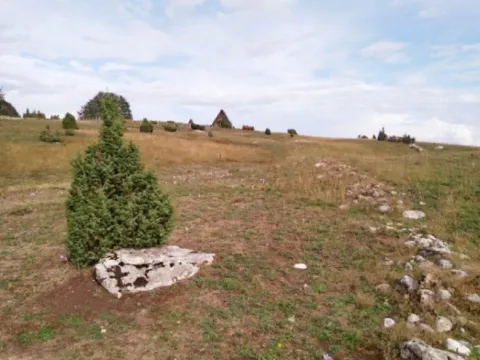 Prodaja, plac, 2800m², Žabljak, Crna Gora - image 4