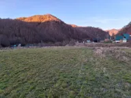 Sale, land lot, 70000m², Veruša, Podgorica - image 7