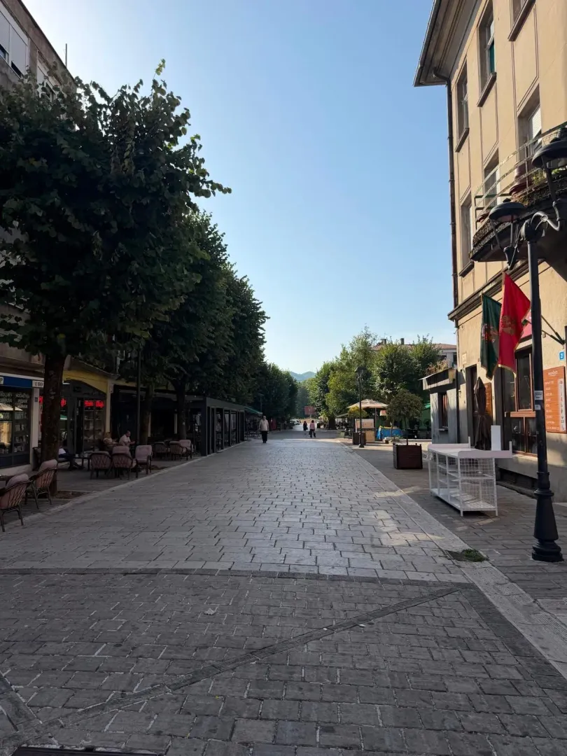Izdavanje, dvosoban stan, 82m², Centar, Cetinje