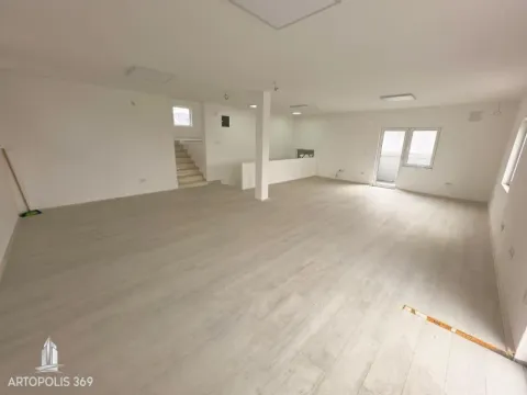 Izdavanje, poslovni prostor, 320m², Mali Mokri Lug, Zvezdara Sve Podlokacije - image 8