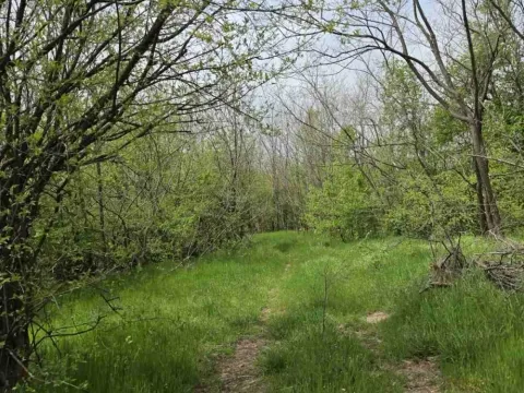 Prodaja, plac, 12800m², Bukovik, Arandjelovac - image 8