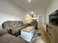 Izdavanje, jednosoban stan, 47m², Central Point, Podgorica - image 1