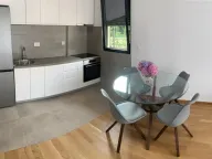 Izdavanje, jednosoban stan, 37m², Seljanovo, Tivat - image 4