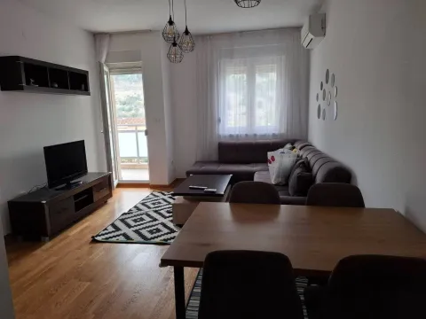 Izdavanje, jednosoban stan, 45m², Zagorič, Podgorica - image 2