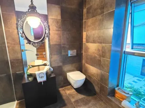 Sale, house, 400m², Denkova Basta, Zvezdara Sve Podlokacije - image 14