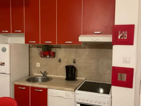 Izdavanje, jednosoban stan, 500m², Zabjelo, Podgorica - image 3