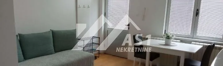 Izdavanje, stan, 25m², Centar, Novi Sad
