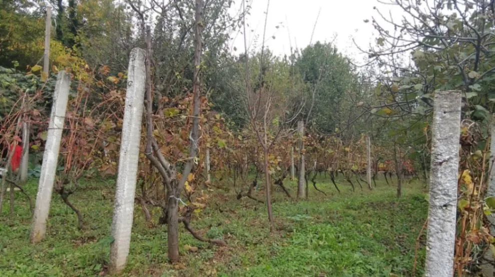 Sale, land lot, 669m², Mokrine, Herceg Novi