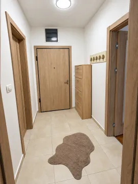 Izdavanje, jednosoban stan, 50m², Master Kvart, Podgorica - image 6