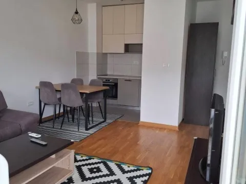 Izdavanje, jednosoban stan, 45m², Zagorič, Podgorica - image 3