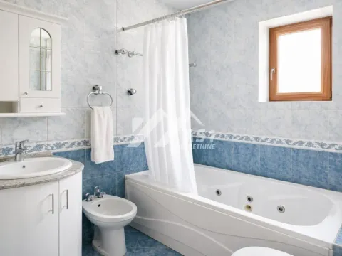 Rent, house, 360m², Adice, Novi Sad Sve Podlokacije - image 9