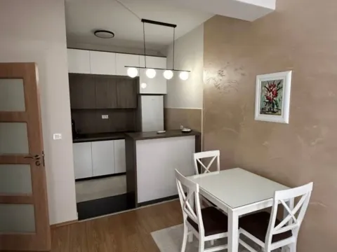 Izdavanje, jednosoban stan, 46m², Zabjelo, Podgorica - image 3