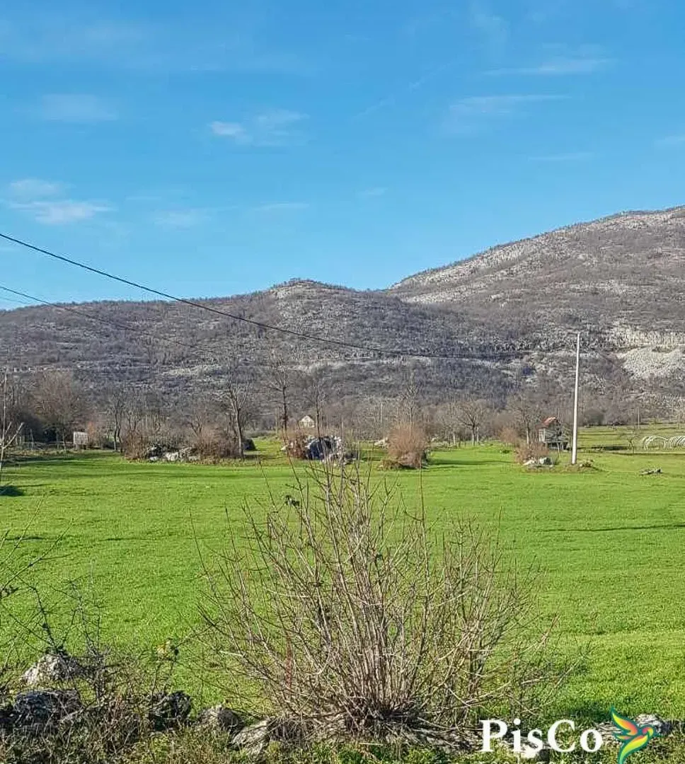 Prodaja, plac, 25300m², Nikšić, Crna Gora