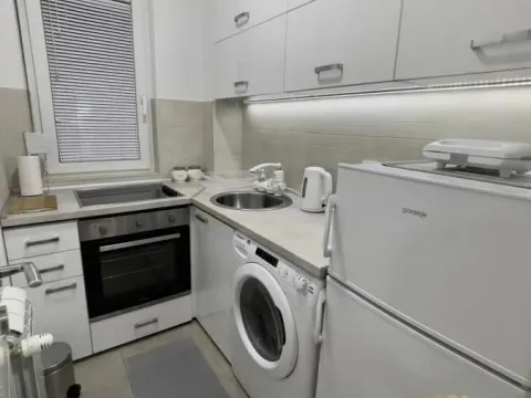 Izdavanje, jednosoban stan, 36m², Autokomanda, Voždovac Sve Podlokacije - image 5