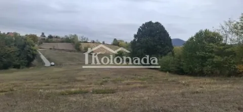 Pogled na prostrano zemljište sa zelenilom i drvećem. - image 10