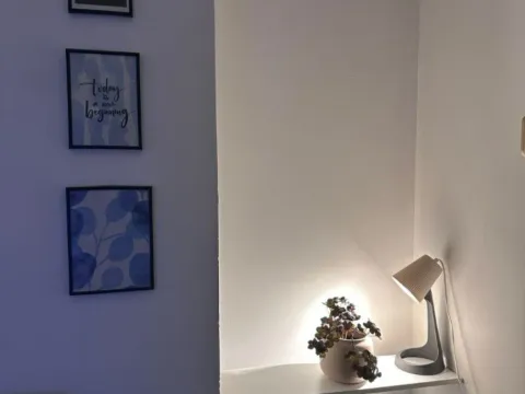 Izdavanje, jednosoban stan, 52m², City Kvart, Podgorica - image 5