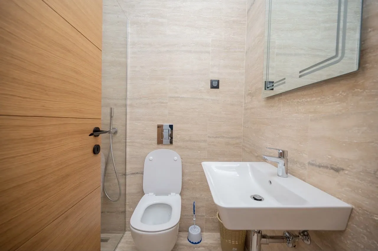 Modernly equipped bathroom with a washbasin, toilet bowl, and walk-in shower.