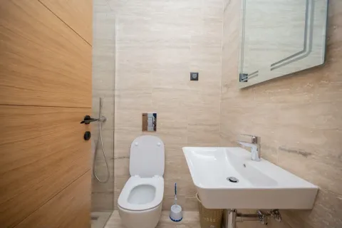 Modernly equipped bathroom with a washbasin, toilet bowl, and walk-in shower. - image 5