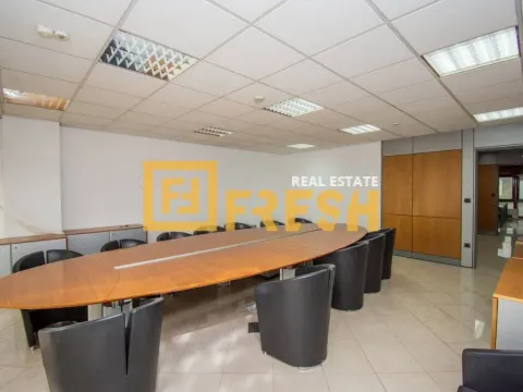 Izdavanje, poslovni prostor, 412m², Preko Morače, Podgorica - image 11
