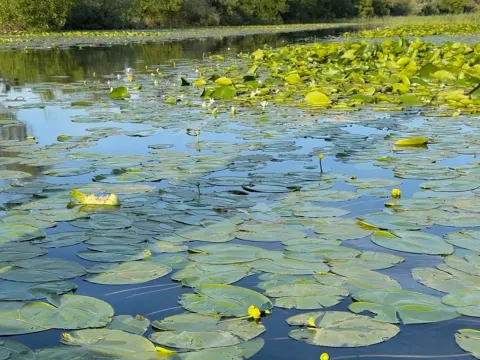 Prodaja, plac, 320m², Žabljak, Crna Gora - image 7
