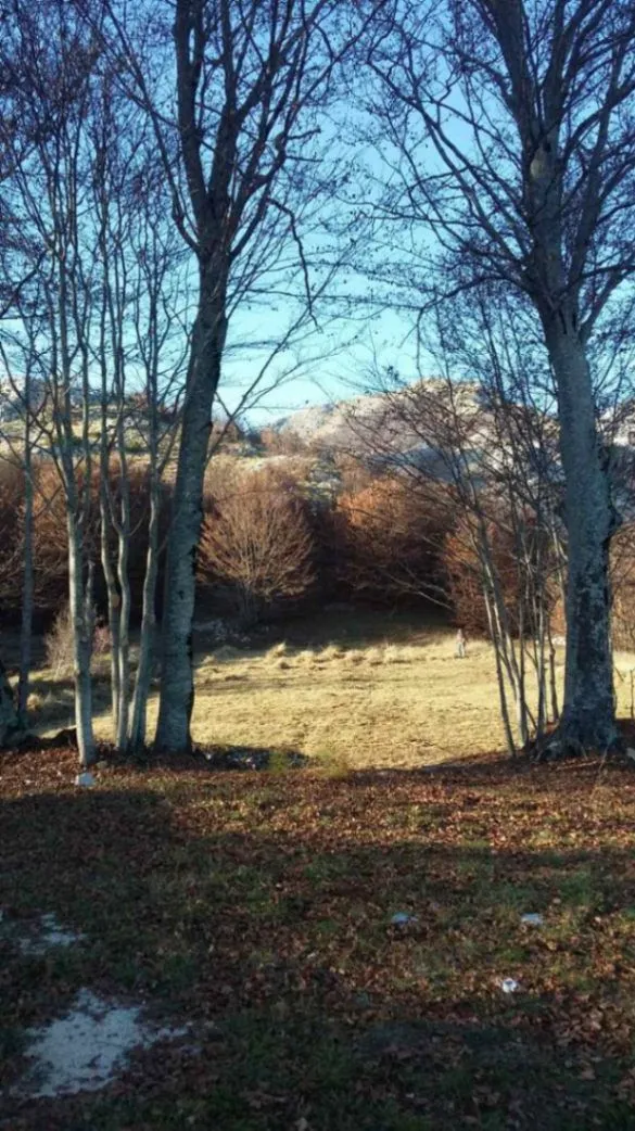 Prodaja, plac, 3002m², Ivanova Korita, Cetinje