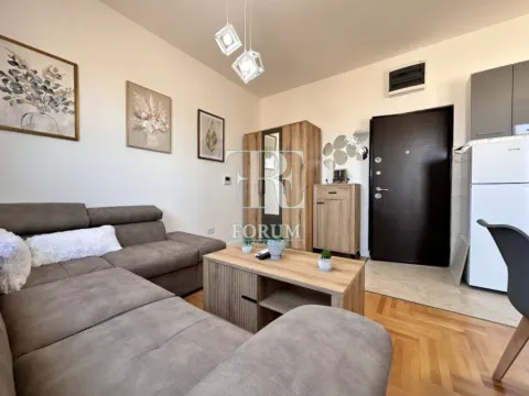 Rent, studio apartment, 27m², Zabjelo, Podgorica - image 5