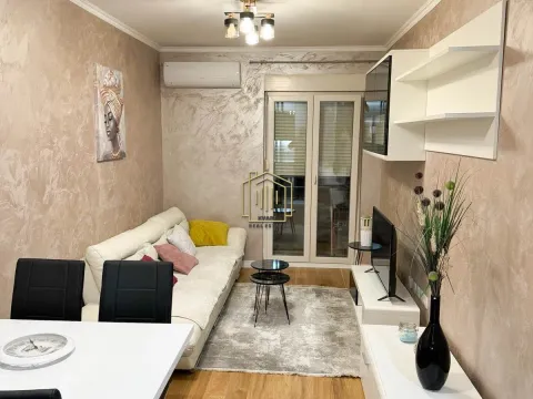 Izdavanje, jednosoban stan, 40m², Central Point, Podgorica - image 1