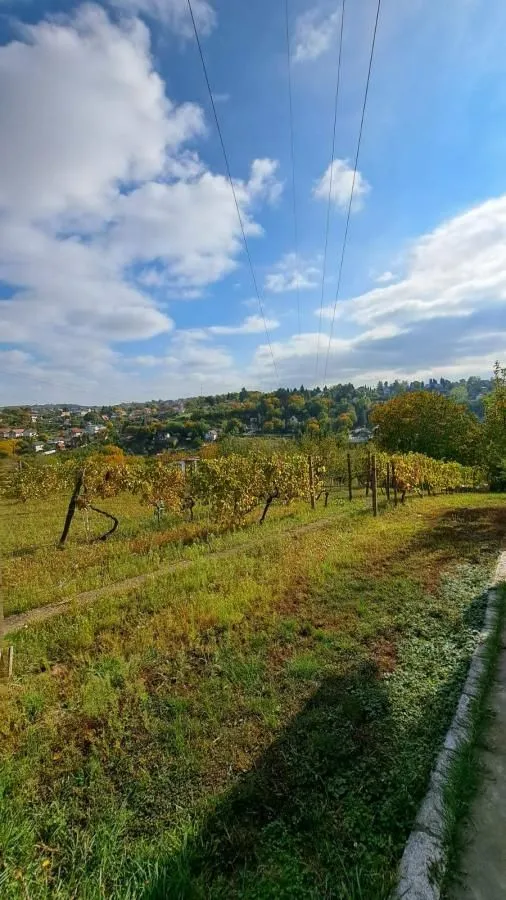 Prodaja, plac, 3000m², Sremska Kamenica, Petrovaradin