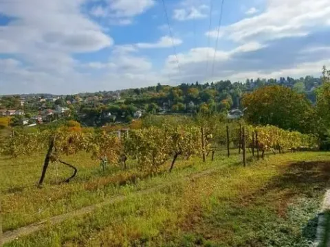 Prodaja, plac, 3000m², Sremska Kamenica, Petrovaradin - image 10