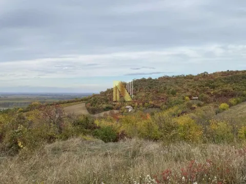 Prodaja, plac, 155m², Sremski Karlovci, Novi Sad - image 3