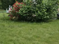 Sale, house, 88m², Pljevlja, Crna Gora - image 3