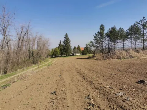 Prodaja, plac, 1235m², Novi Slankamen, Inđija - image 6