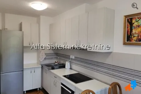 Izdavanje, dvosoban stan, 60m², Stari Merkator, Novi Beograd Sve Podlokacije - image 6
