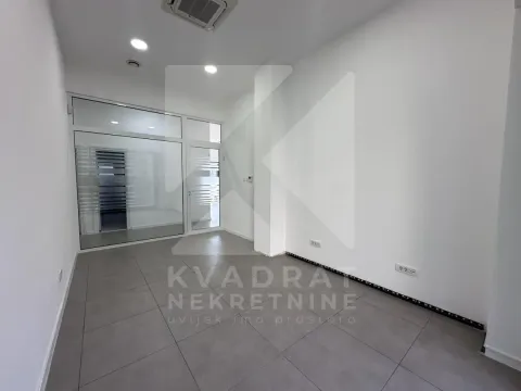 Izdavanje, poslovni prostor, 362m², Ljubović, Podgorica - image 21