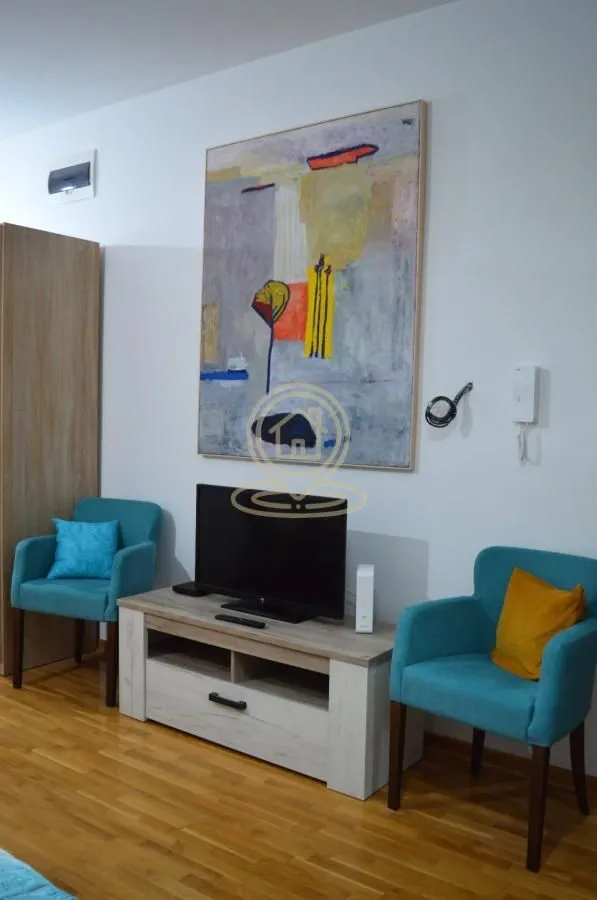 Rent, one bedroom apartment, 33m², Vračar Hram, Vračar Sve Podlokacije