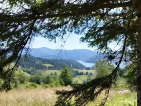 Sale, land lot, 500m², Tara, Srbija - image 8