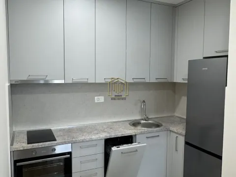 Rent, one bedroom apartment, 49m², Central Point, Podgorica - image 7