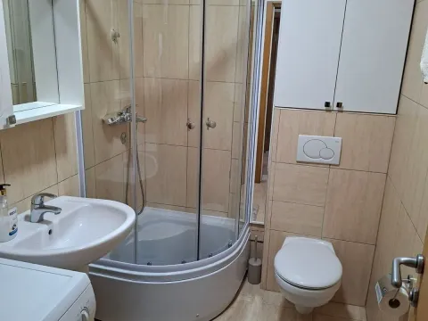 Rent, one bedroom apartment, 50m², Zabjelo, Podgorica - image 6