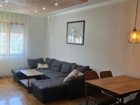 Izdavanje, jednosoban stan, 50m², Stari Aerodrom, Podgorica - image 4