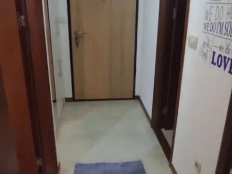 Izdavanje, jednosoban stan, 44m², Stari Aerodrom, Podgorica - image 11