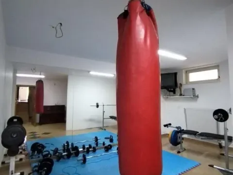 Izdavanje, poslovni prostor, 750m², Telep, Novi Sad Sve Podlokacije - image 20