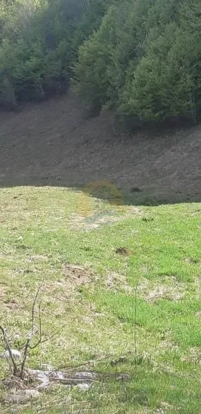 Prodaja, plac, 6692m², Kolašin, Crna Gora