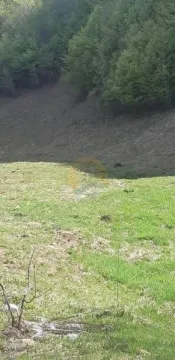 Prodaja, plac, 6692m², Kolašin, Crna Gora - image 3