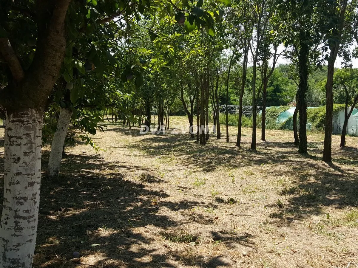 Prodaja, kuća, 65m², Čortanovci, Inđija