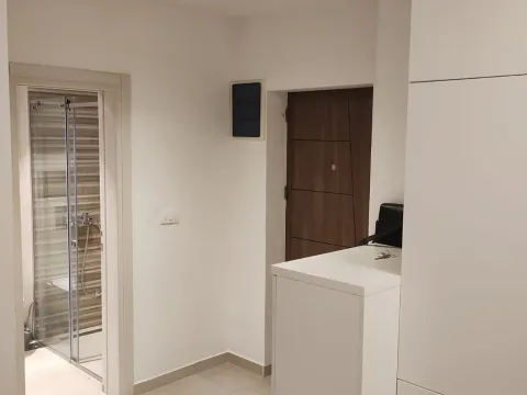 Izdavanje, jednosoban stan, 38m², Gintaš, Podgorica - image 3