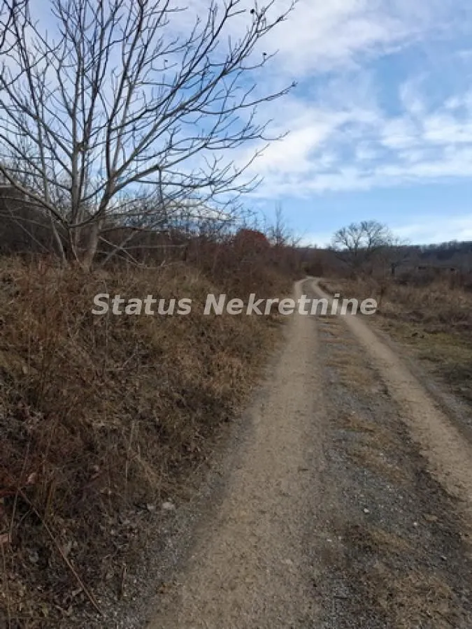 Prodaja, plac, 14994m², Ledinci, Petrovaradin