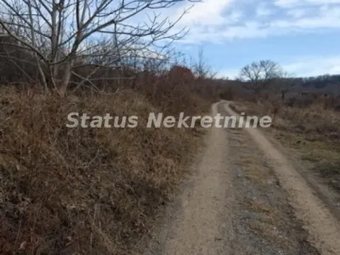 Prodaja, plac, 14994m², Ledinci, Petrovaradin - image 14