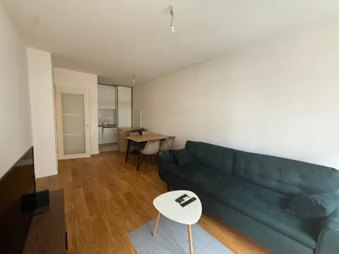 Izdavanje, stan, 42m², Central Point, Podgorica - image 2