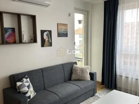 Rent, one bedroom apartment, 47m², Pantelej, Niš - image 3